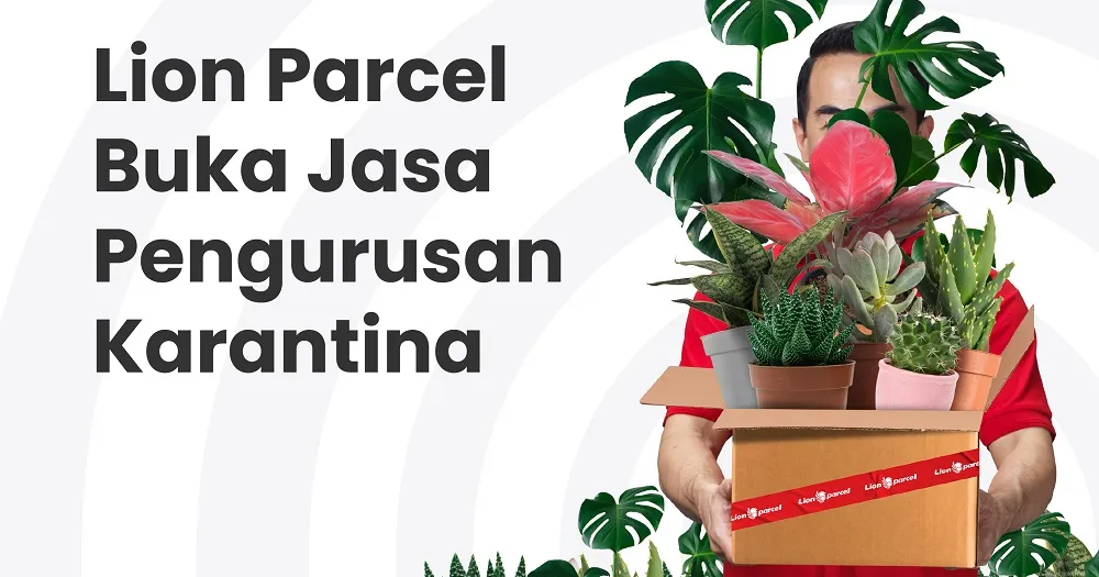 Lion Parcel Buka Jasa Pengurusan Karantina, Kirim Janda Bolong dan Aglenoma Lebih Aman!