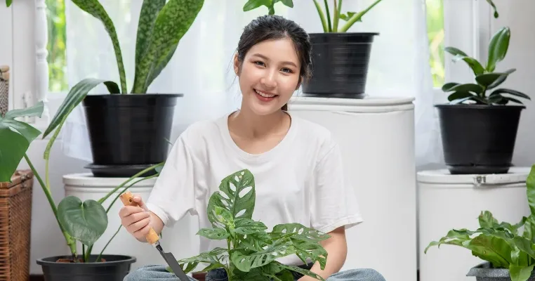 Pembukaan Hub & Harga Karantina Terbaru Lion Parcel