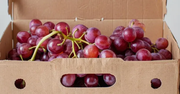 Cara Packing Buah Anti Busuk, Tetap Segar, dan Rapi Selama Pengiriman