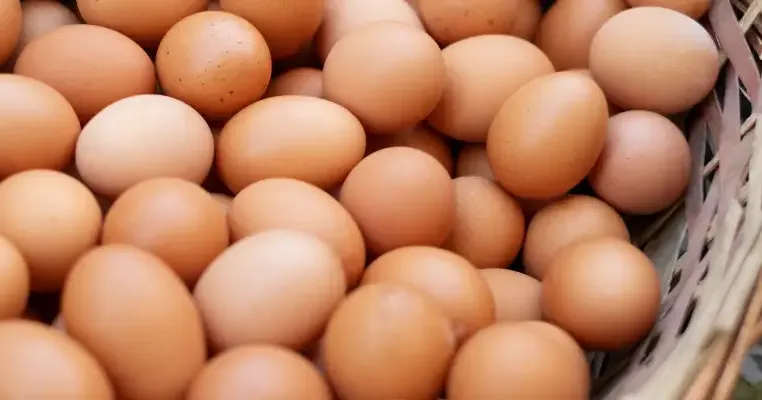 8 Ide Bisnis di Kampung yang Mudah dan Menguntungkan