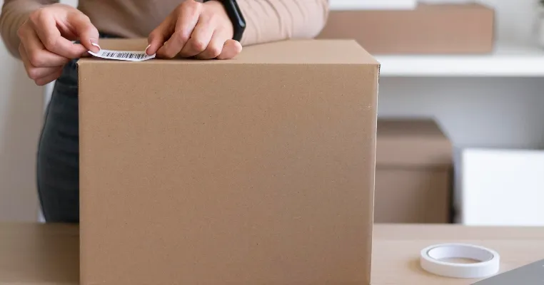 Perbedaan BIGPACK dan JUMBOPACK untuk Kirim Paket Besar