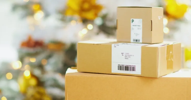 Mau Kirim Paket ke Luar Negeri untuk Nataru? Simak 8 Tipsnya!