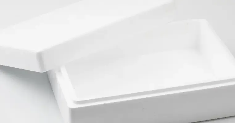 Mengenal Styrofoam: Fungsi, Manfaat, dan Dampaknya bagi Lingkungan