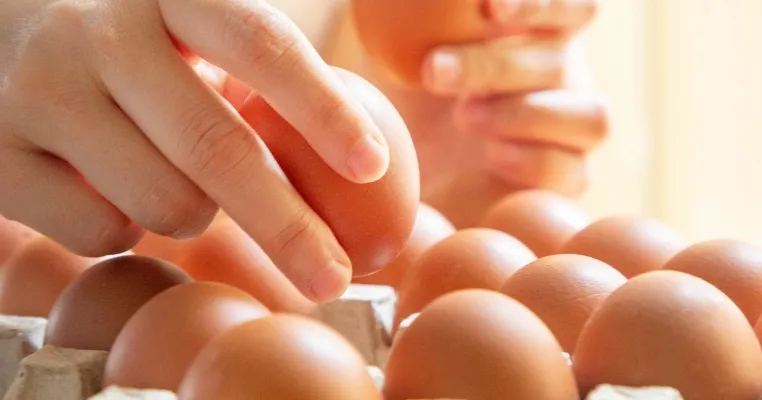 Bisnis Telur Ayam: Peluang Usaha Stabil dengan Permintaan Tinggi