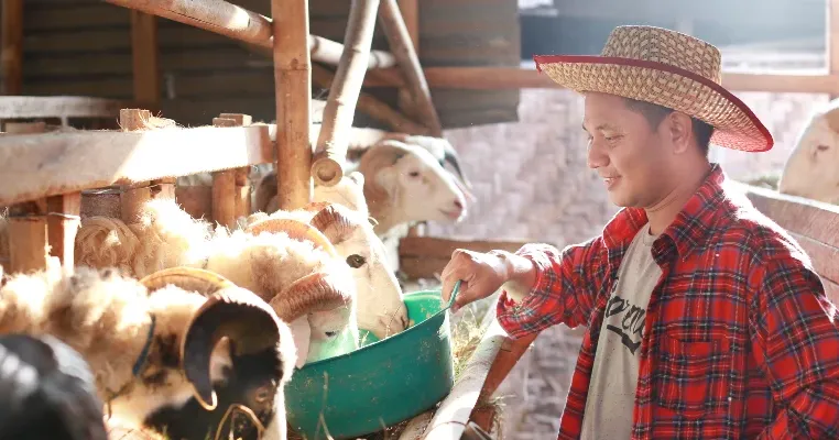 Inspirasi Bisnis Saat Musim Haji yang Menjanjikan & Banyak Cuan!