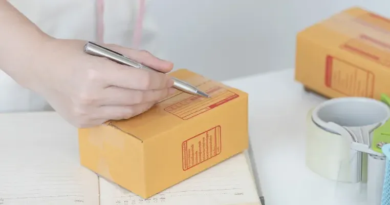 MINIPACK Lion Parcel