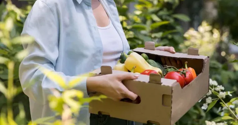 usaha sayuran packing