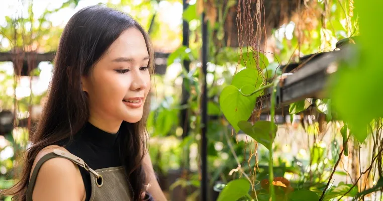 Tipe-tipe Barang Karantina yang Wajib Mitra POS Tahu!