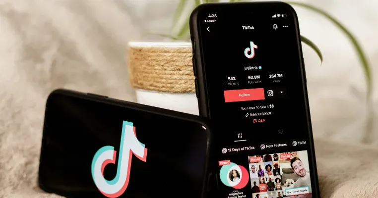 5 Tips Membuat Bio TikTok yang Cocok untuk Jualan, Makin Dilirik Pembeli!