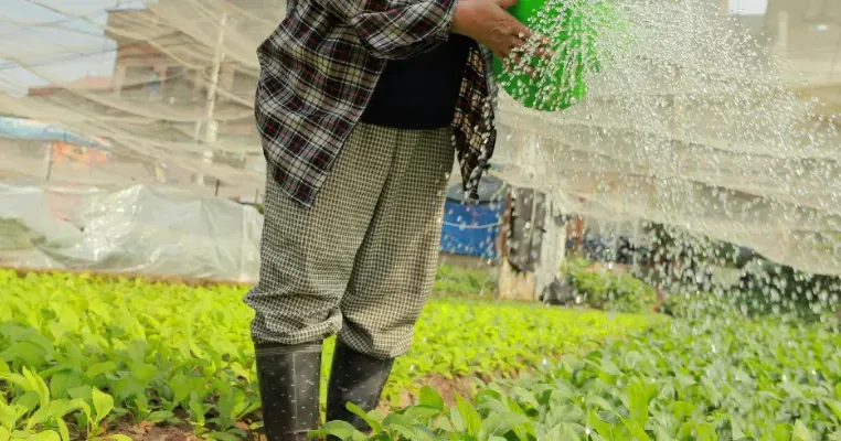 Usaha Rumahan Omzet Jutaan